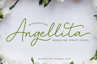 Angellita: A Dynamic Script Font for Branding