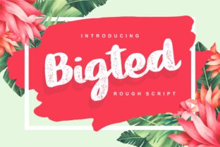 Bigted: A Cheerful Script Font for Your Brand
