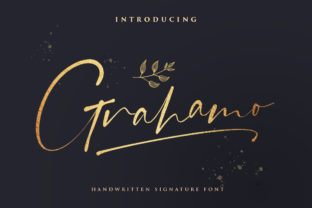 Grahamo: A Bold Script Font for Branding