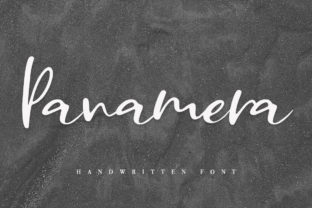 Panamera: A Charming Script Font for Campaigns
