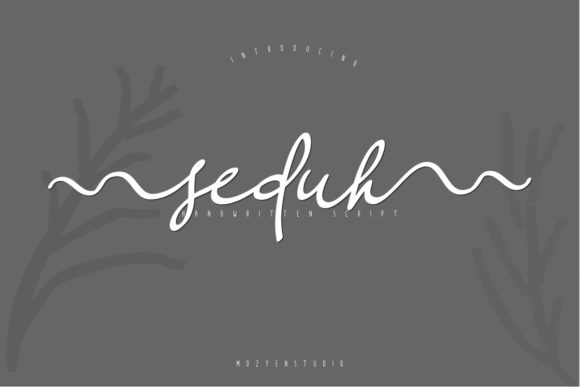 Seduh: A Stunning Script Font for Crafters