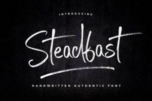 Steadfast: A Premium Script Font for Brand Identity