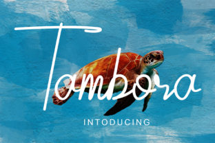 Tambora: A Premium Script Font for Web Design